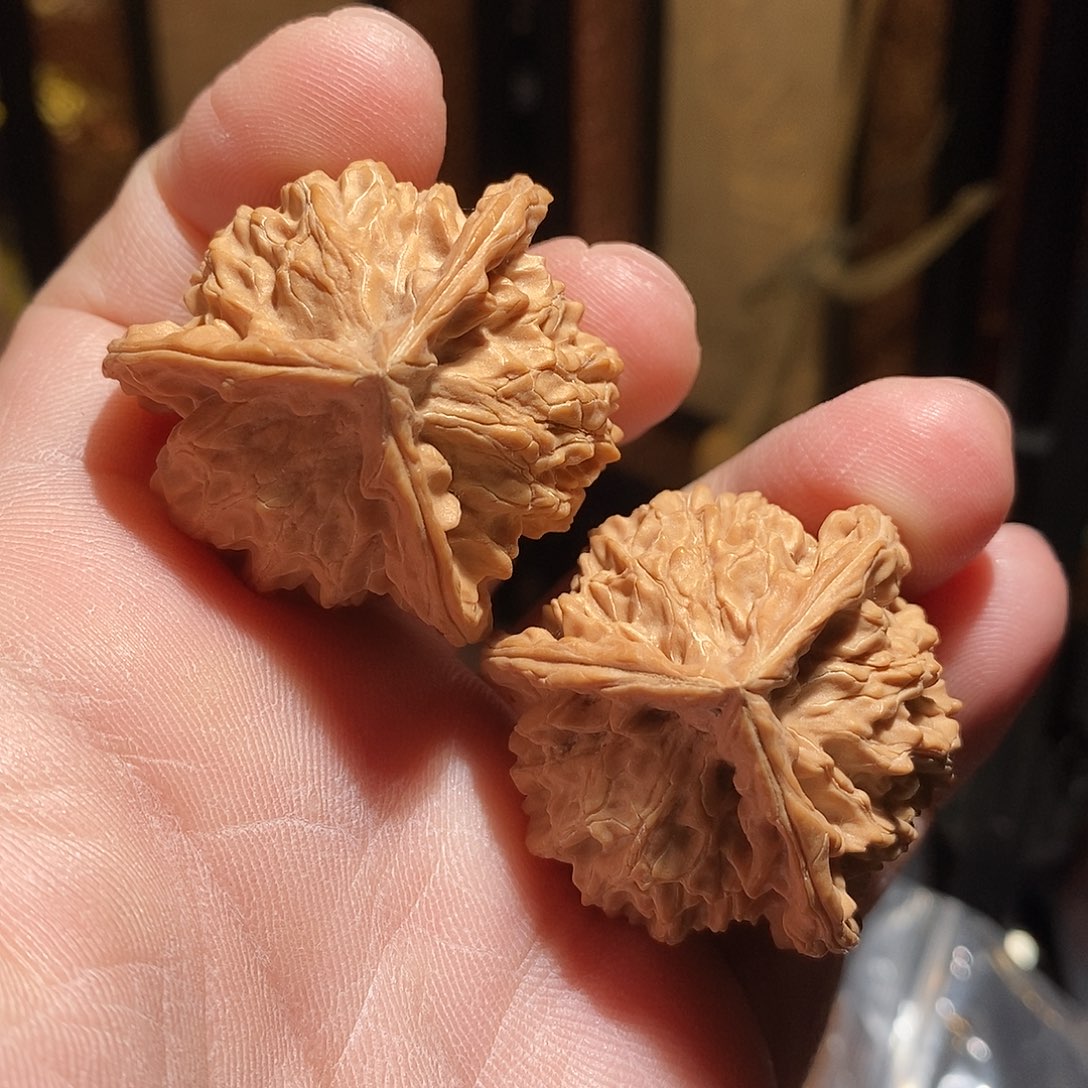 文玩核桃把件38盘山三棱全品