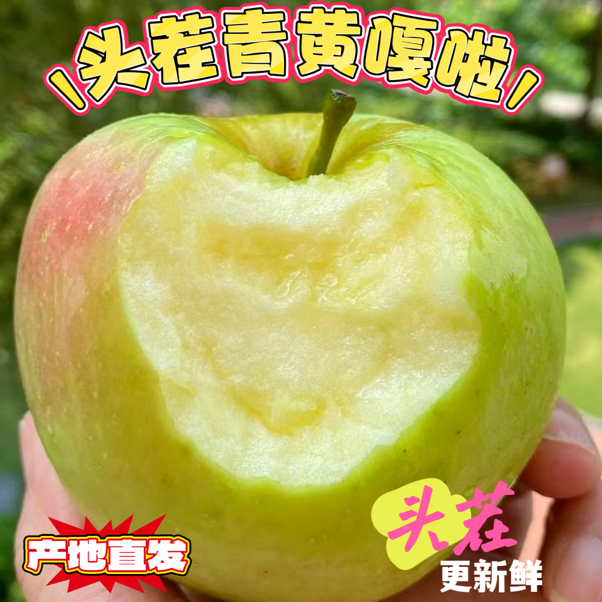 山西头茬青黄嘎啦苹果新鲜现摘粉糯香甜宝宝孕妈妈当季鲜果