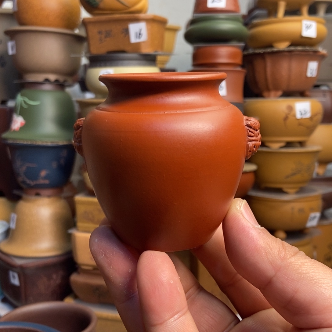 紫砂花盆孙伟手工制作朱泥大红袍带兽耳！！