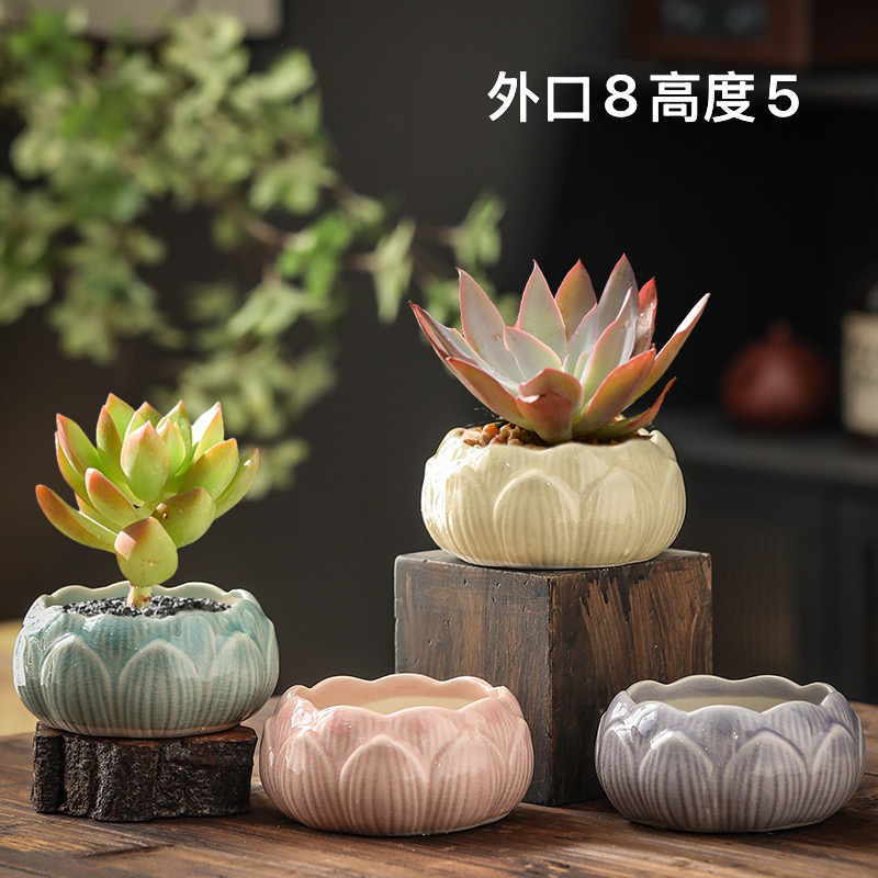 陶瓷花盆多肉花盆白土荷花图片4个