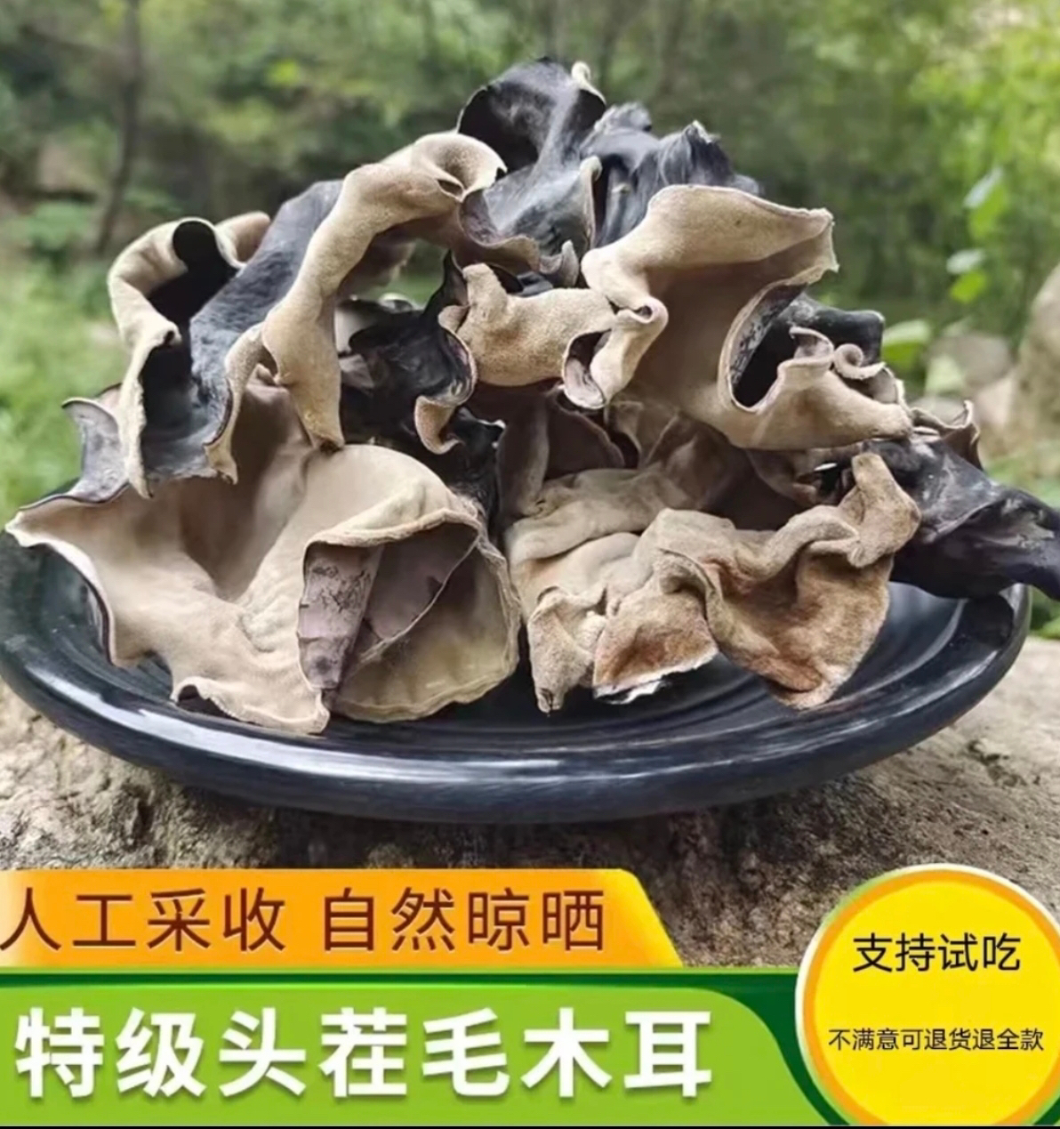 云南山货野生树木耳