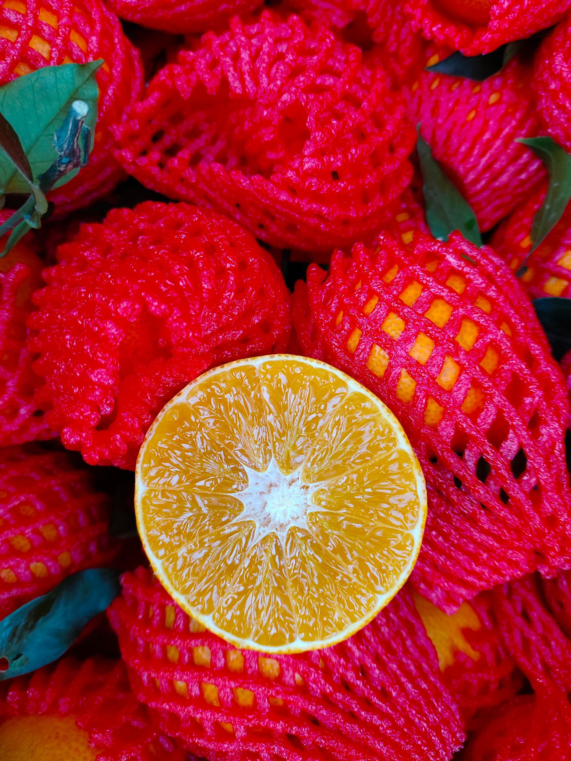 四川爱媛38号果冻橙新鲜现摘汁水充足无籽无核水果