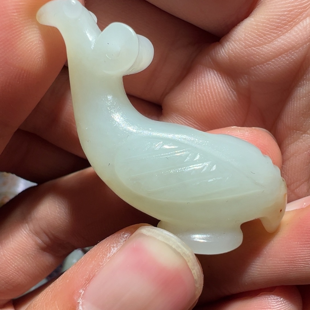 盘七天鉴赏期 一物一图