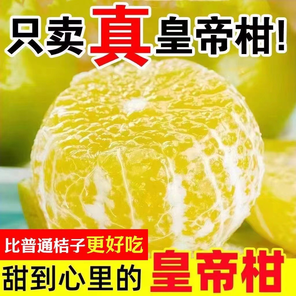 AY正宗广西皇帝柑鲜甜多汁头茬鲜果
