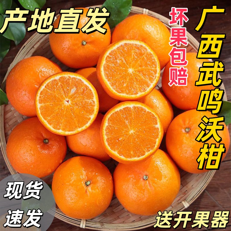 正宗武鸣沃柑新鲜水果柑橘子爽口酸甜多汁水带花皮果柑子广西发货
