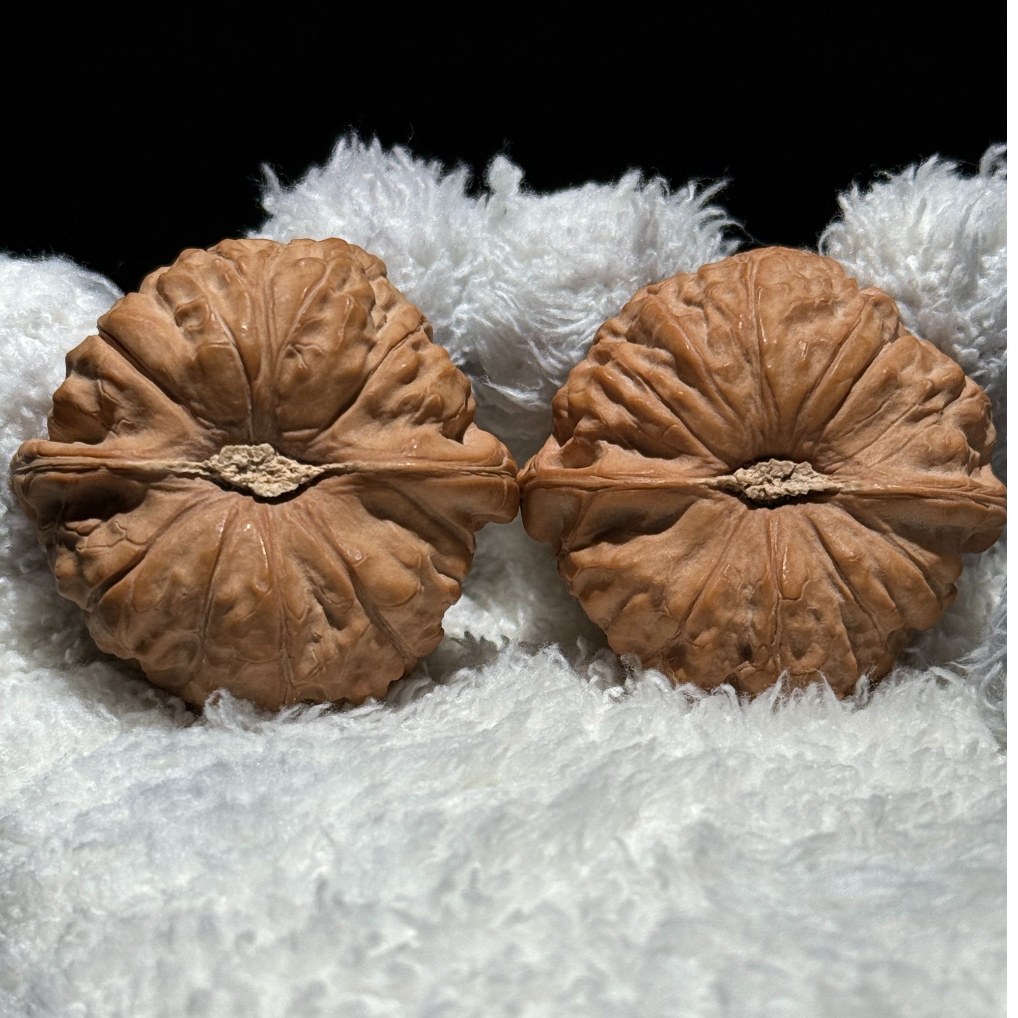 【简核】南瓜墩文玩白狮子核桃核桃