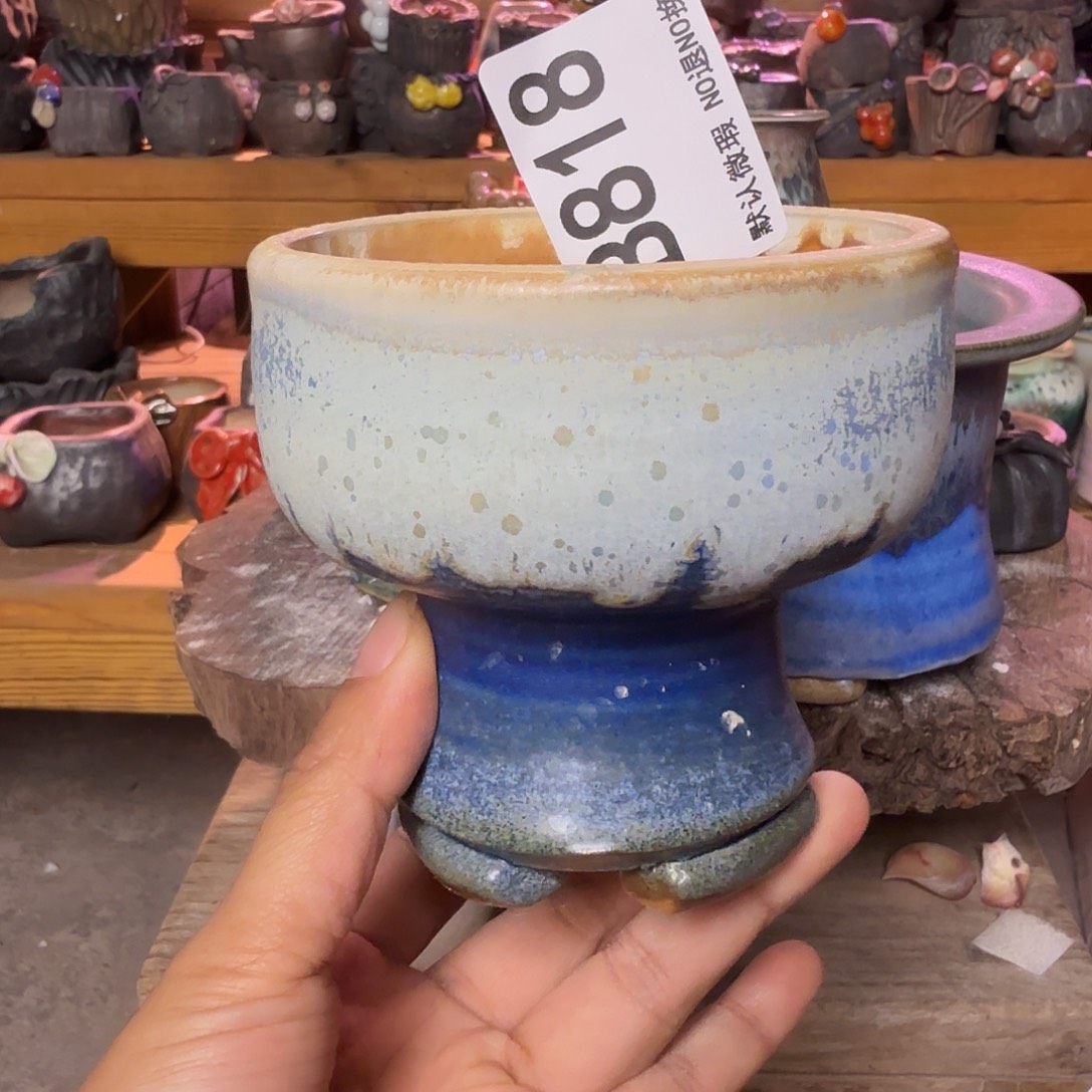 重庆小燕子欢迎大家818