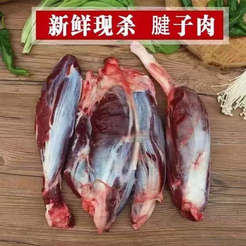 【跑滩羊】新鲜牛腱子肉现宰现宰速冻锁鲜冷链配送