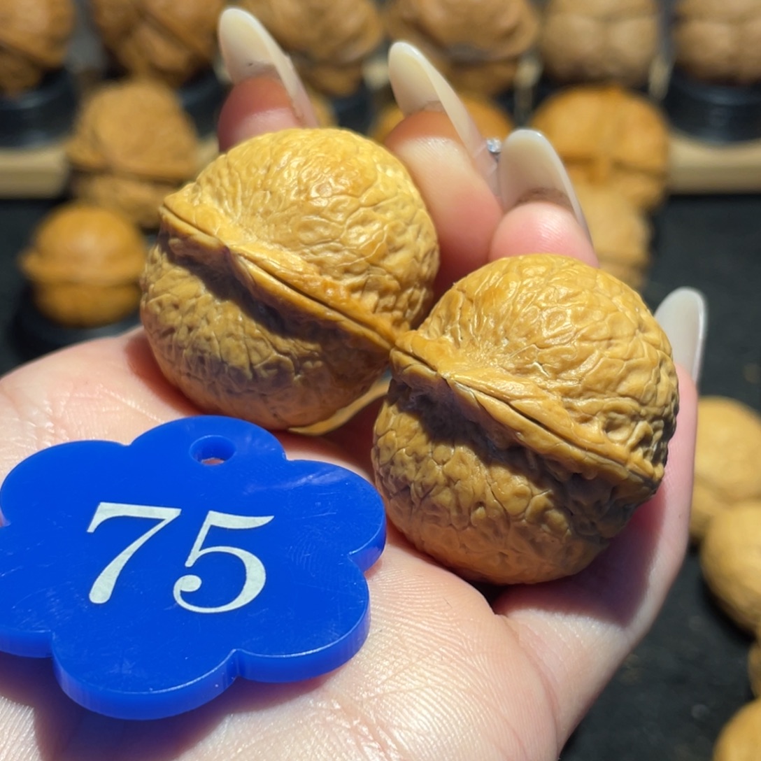 胖橘蛇皮球微彩32。   