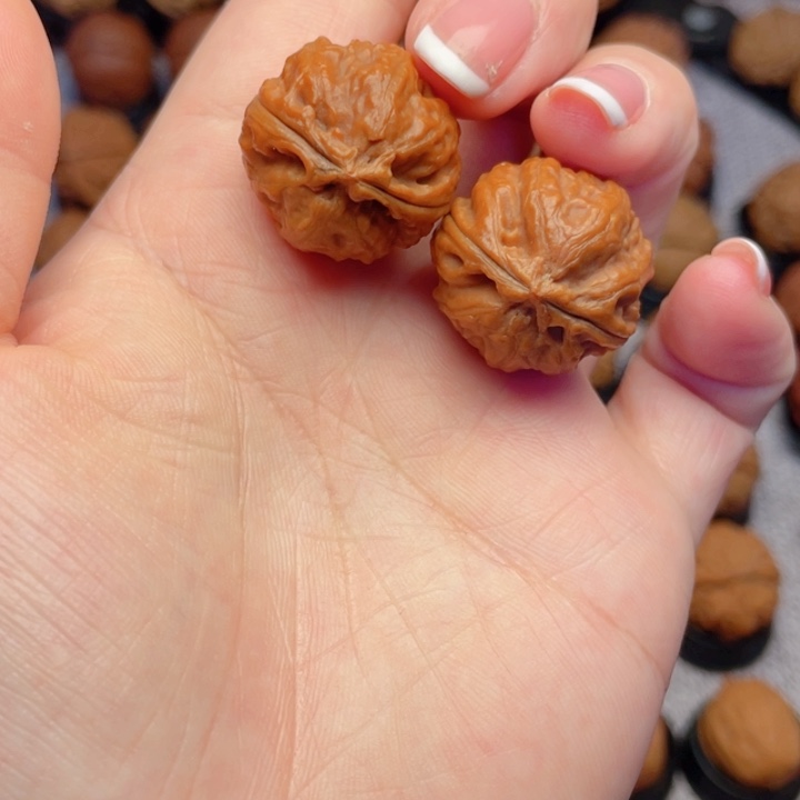 把件文玩核桃粗筋娃娃鱼