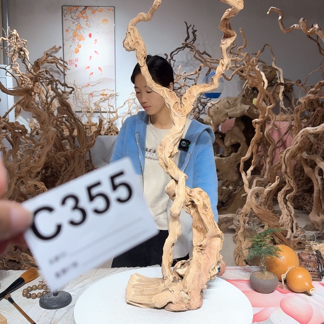 风车木（黑檀木）?****了