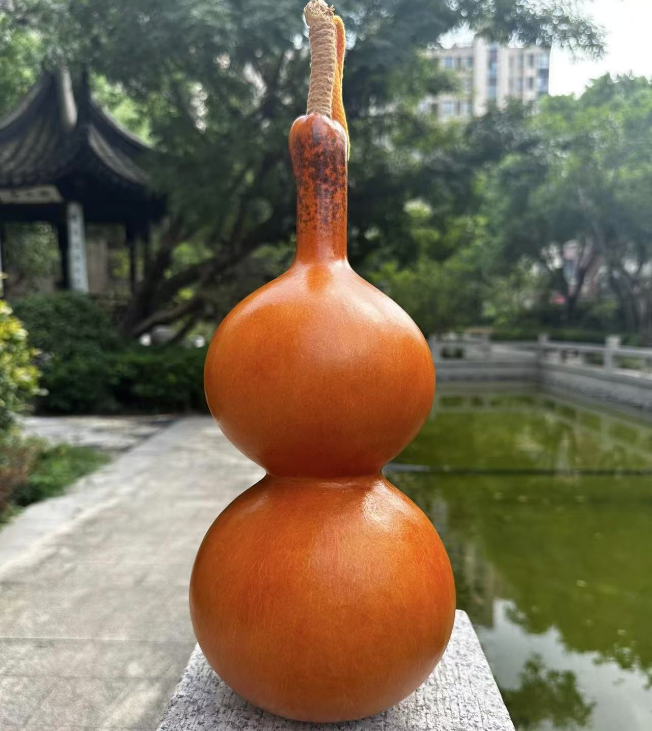 【直播间中号葫芦下单链接】文玩葫芦 下单送底座 快递到付不包邮