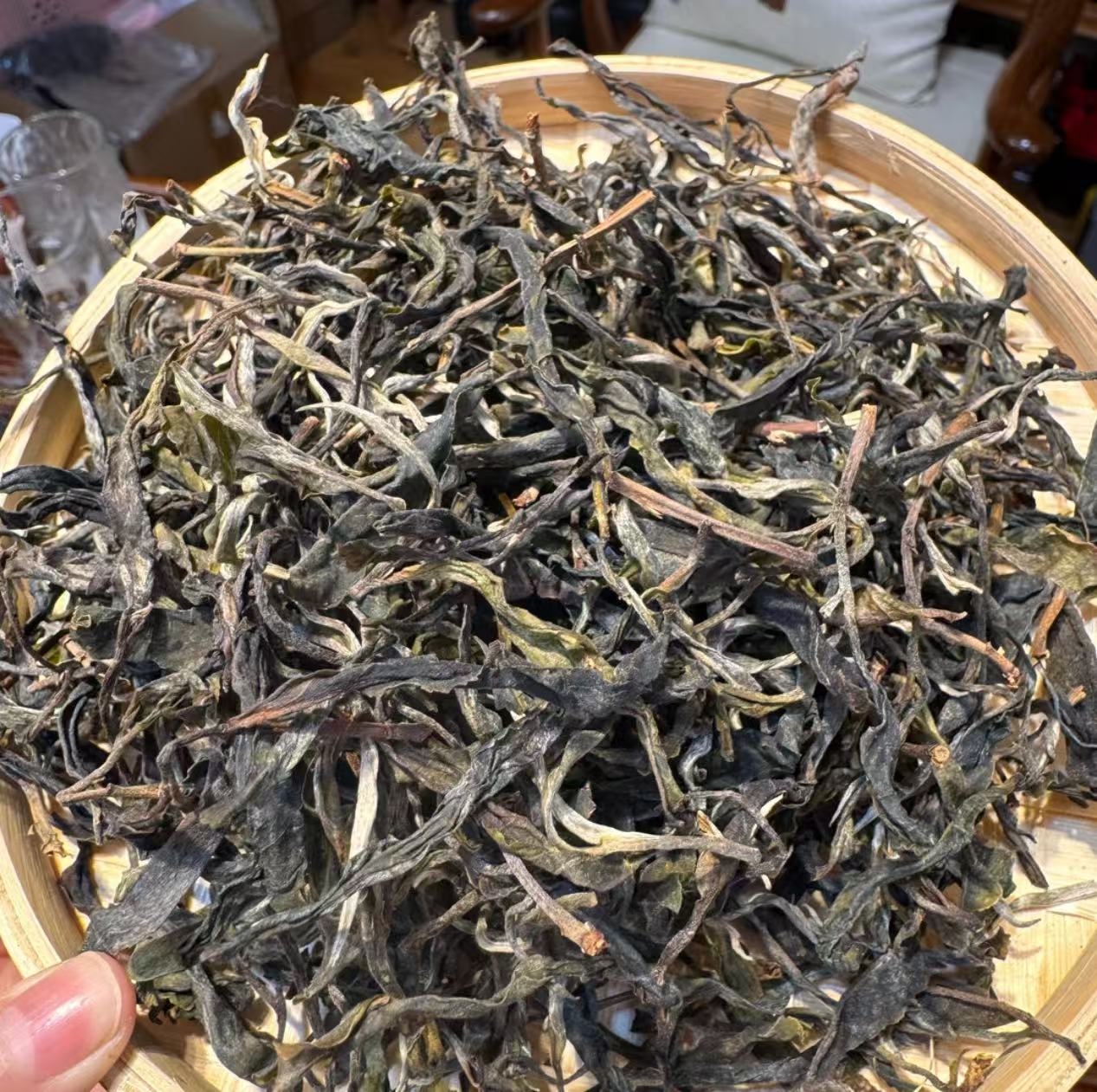 2025年冰岛南迫大树头春生茶散茶