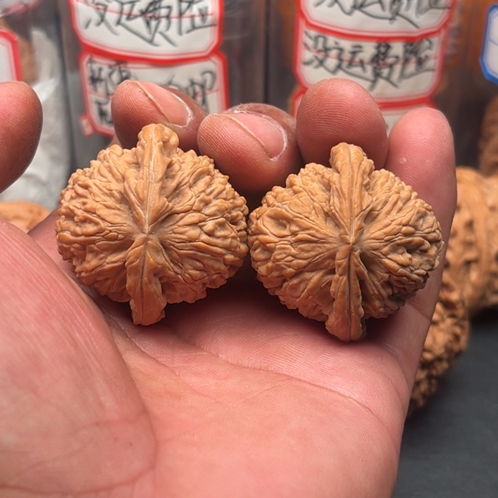 把件文玩核桃白狮3 9