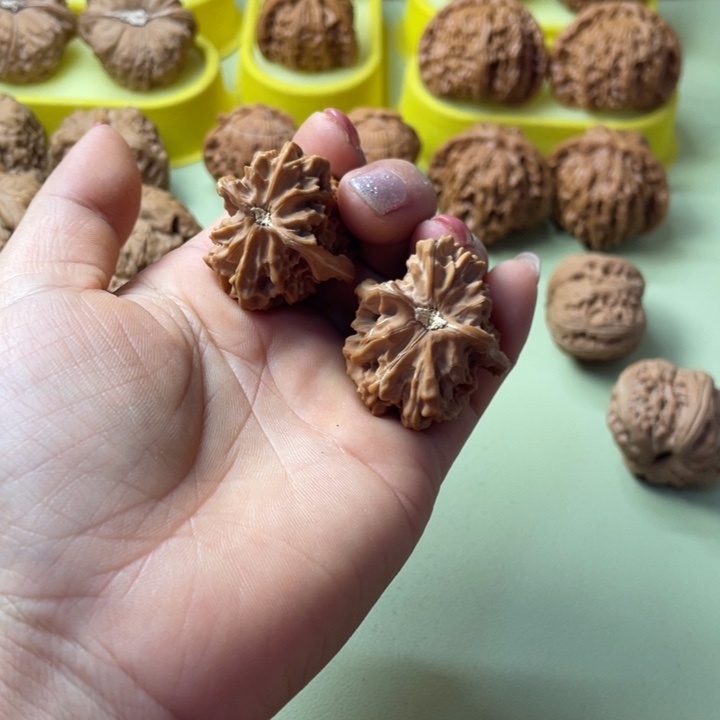 彼***一手把件原树核桃小鸟