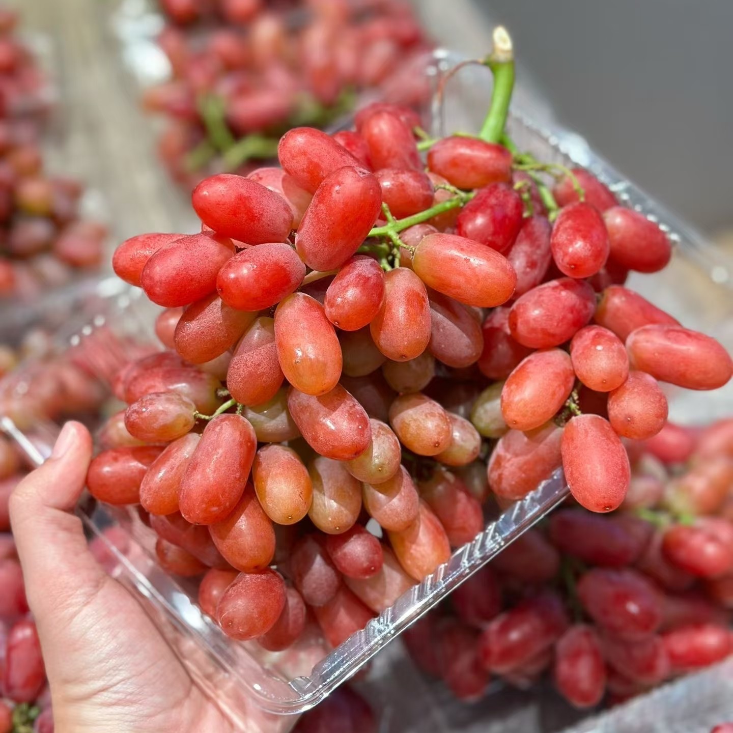 无籽红提提：500g云南省