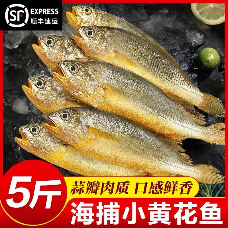 5斤小黄花鱼新鲜海捕 连云港顺丰冷链发货 可香煎红烧烧烤清蒸
