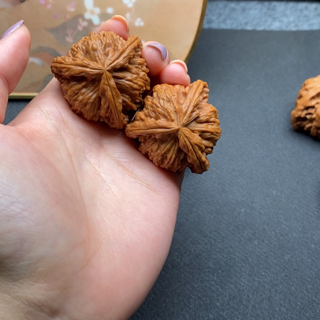 记****巴白狮子1111111111