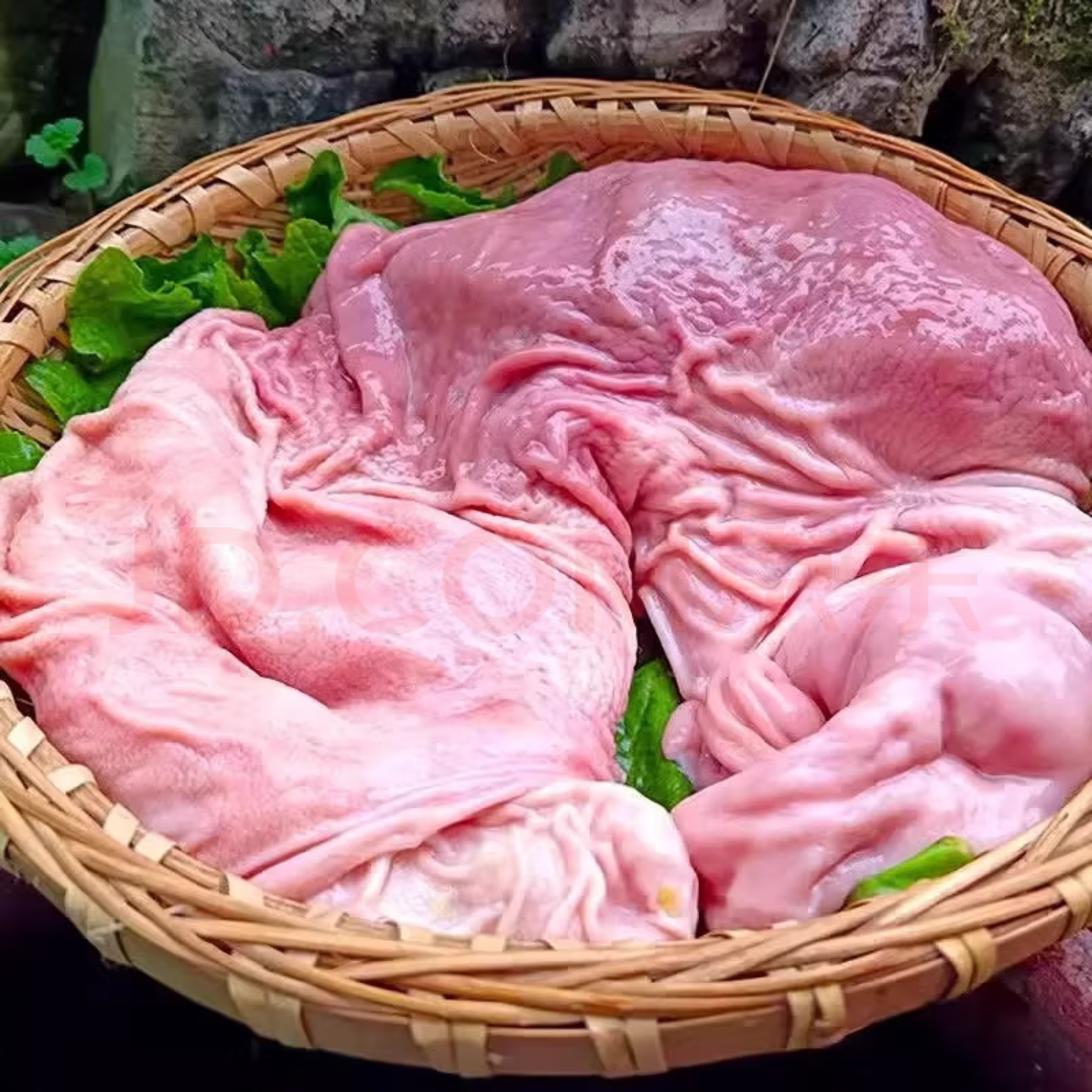 【农村大猪肚直播现称】恩施农村粮食猪红薯南瓜玉米煮熟食喂养猪肚