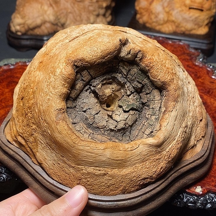 荔枝木荔枝木荔枝木