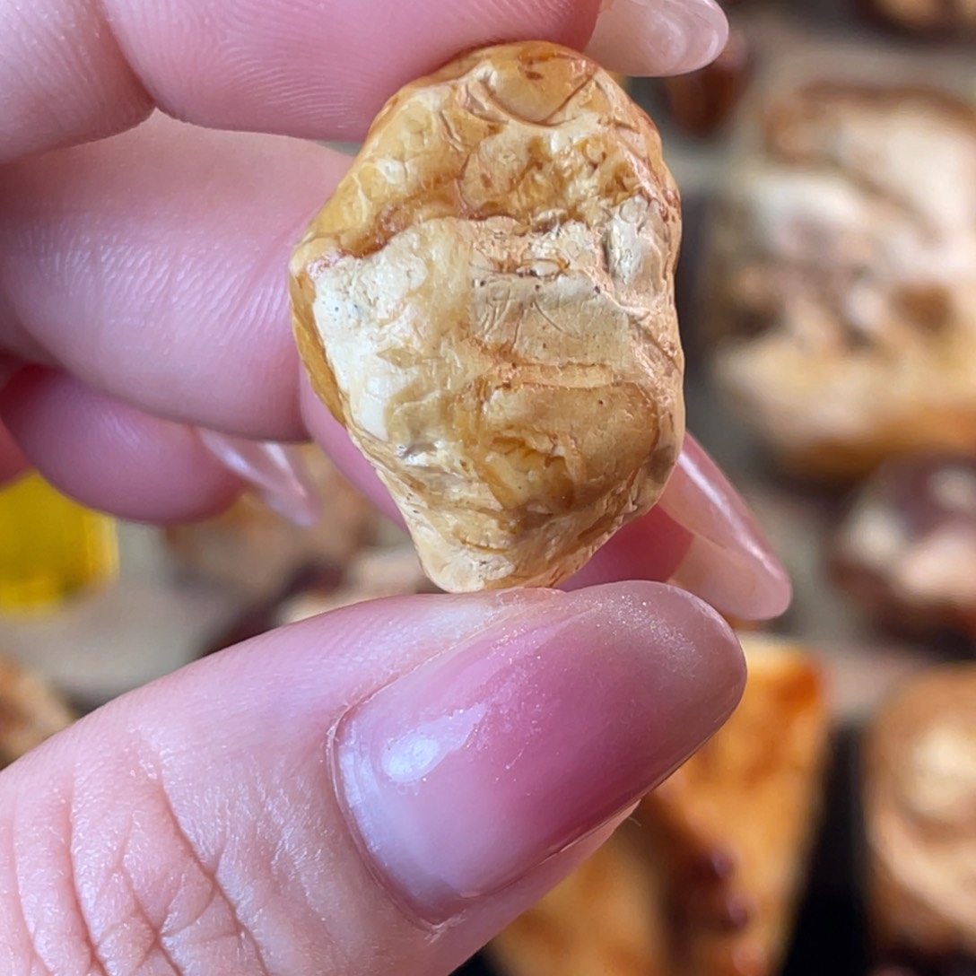 定制琥珀抛****谈天然蜜蜡