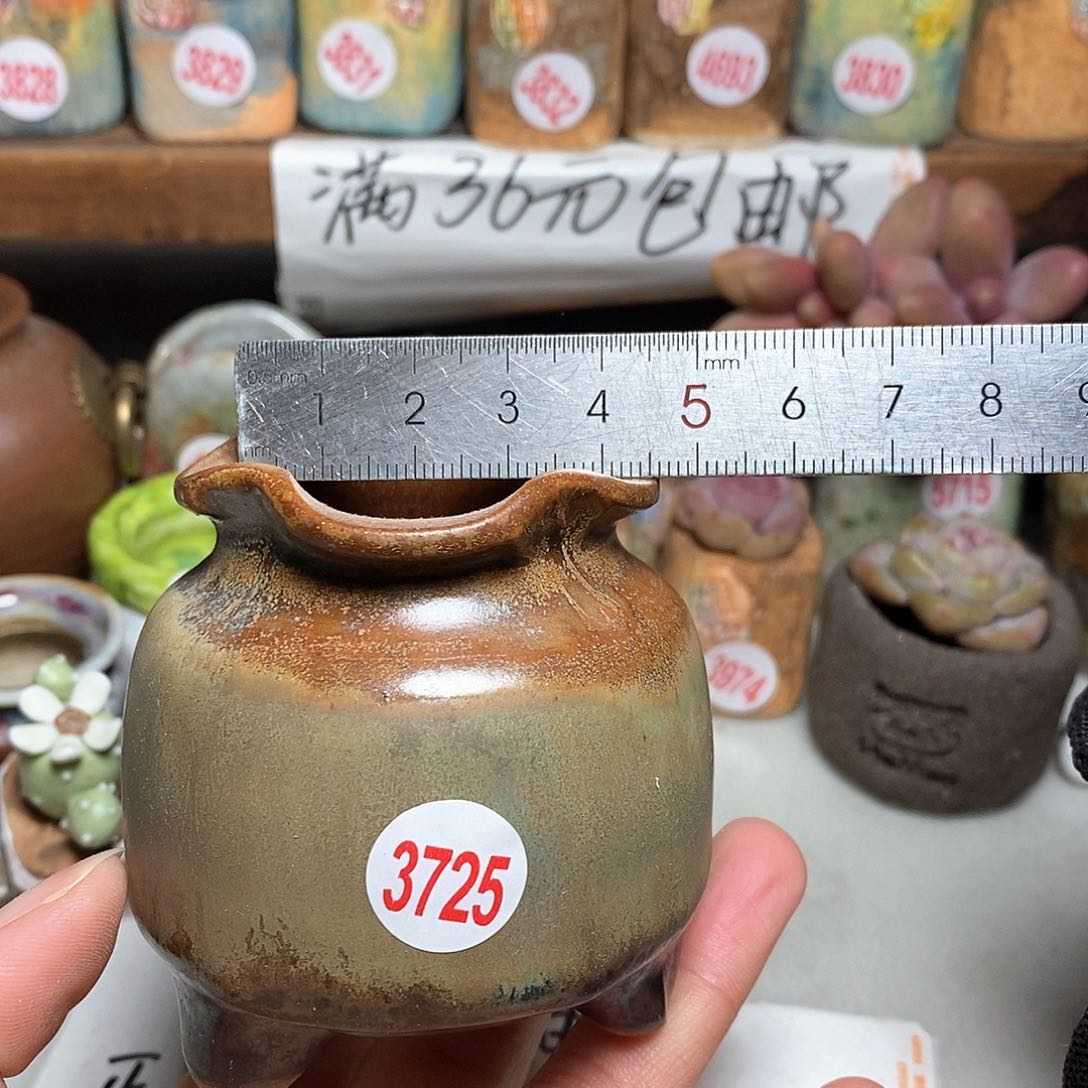 红陶拍5送一个小