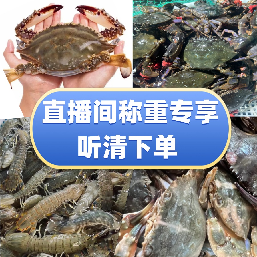 渤海湾野生海鲜直播间现场称重顺丰发货