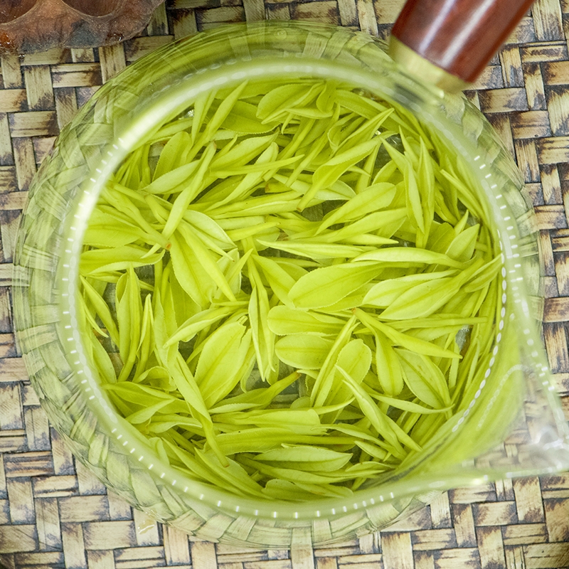 安吉白茶鲜爽兰花香2025年早春采摘精选高山绿茶明前散装茶叶A288