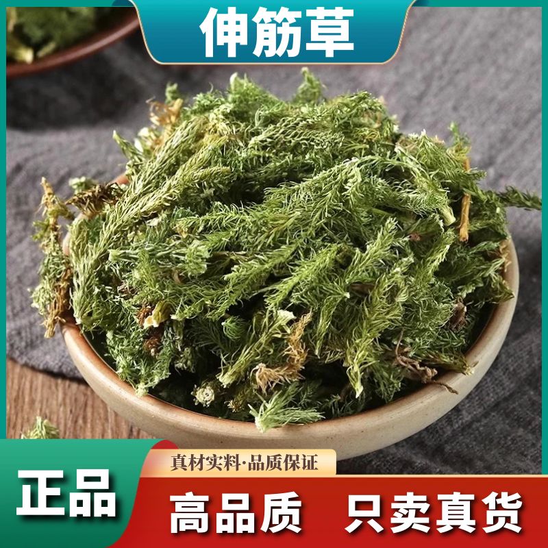 精选伸筋草野生正品生筋草泡脚小伸筋草远志益智仁散装干货叶菜