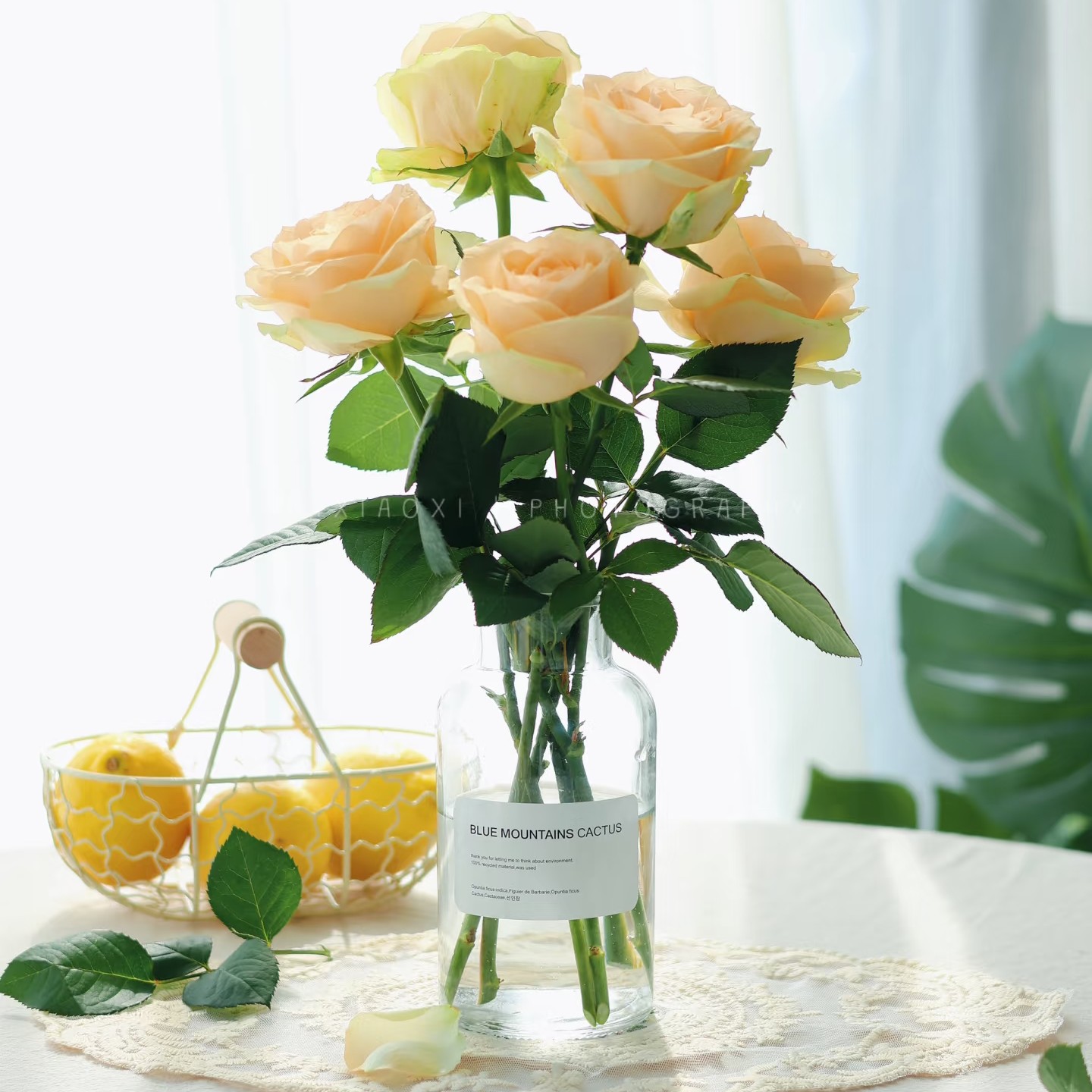 混搭风格黄香槟+紫洋桔梗+白骄傲+配草