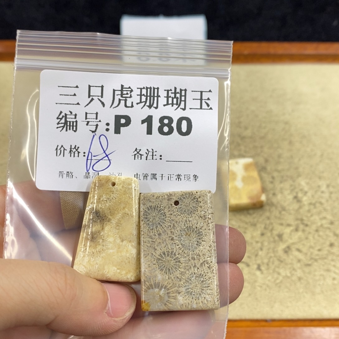 硅化珊瑚（珊瑚玉）1未镶嵌蓝****）