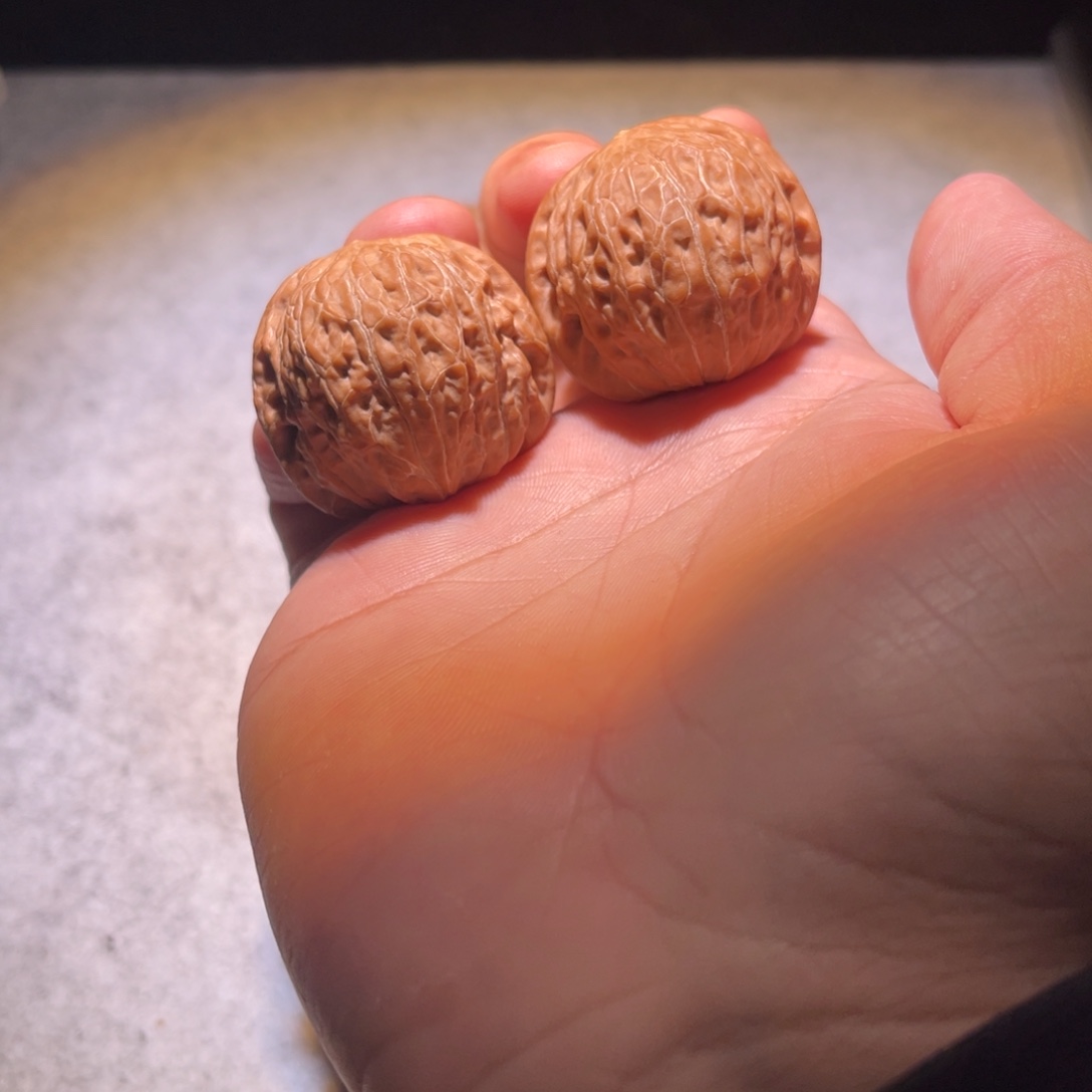 一份v比一个v巨虚一份v加油呀