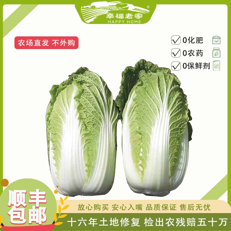 幸福老家百财祝福有机大白菜2-3棵 味道鲜美农场直发零农药零化肥