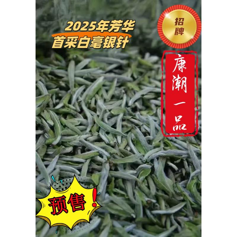 【康潮一品】 招牌 2025年芳华首采特级白毫银针 兰花香！
