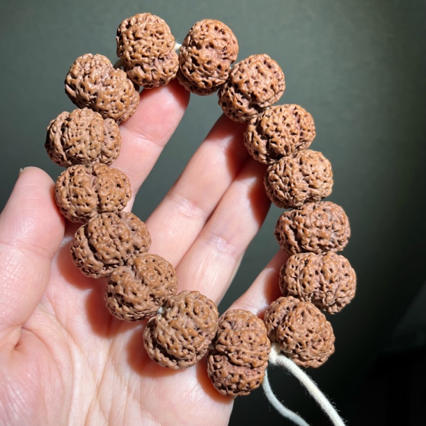 【玉盘梅花】精品天然平头平尾矮桩飞碟双龙大金刚菩提文玩手串