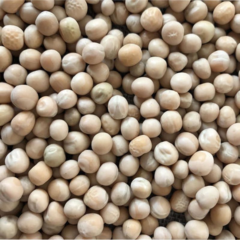 ［荷兰豆]农家自种