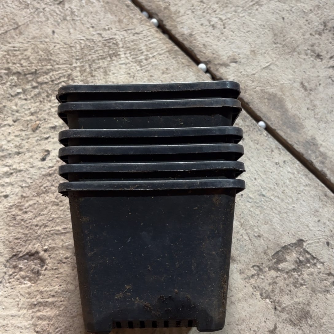 黑方盆12口径高9.5发30个