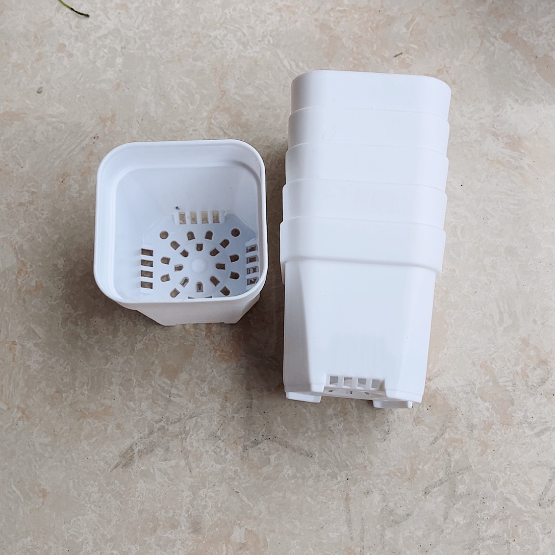 塑料福利款6.4白方盆30个无托