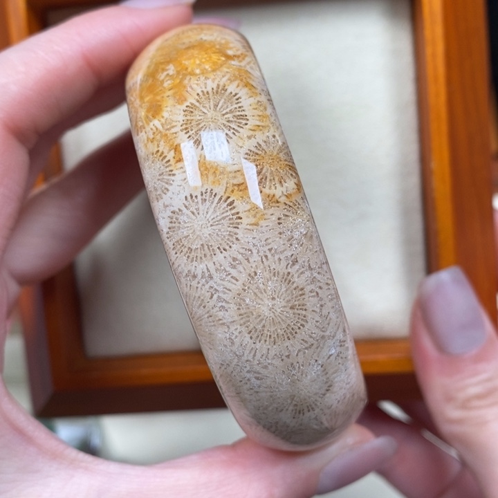 硅化珊瑚（珊瑚玉）手镯未镶嵌55