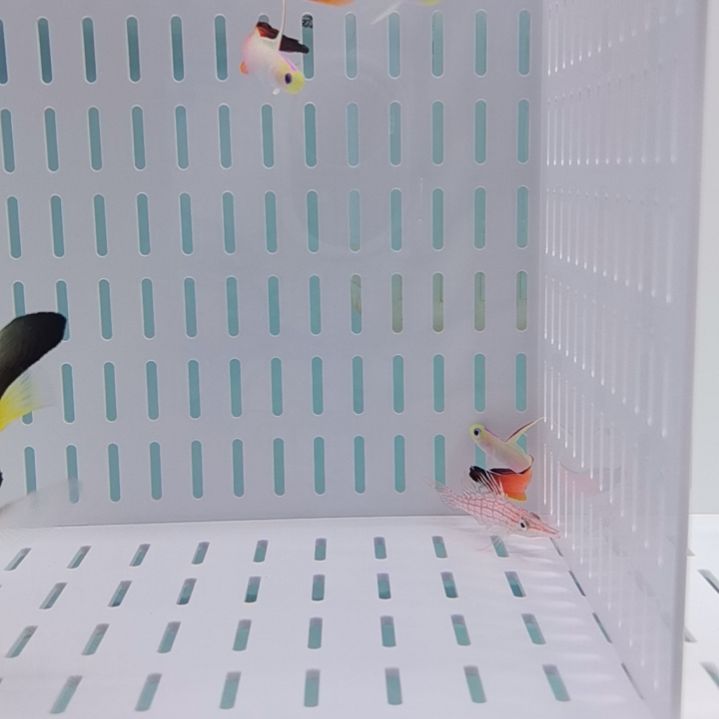 一条雷达一条草莓一条半黑背心