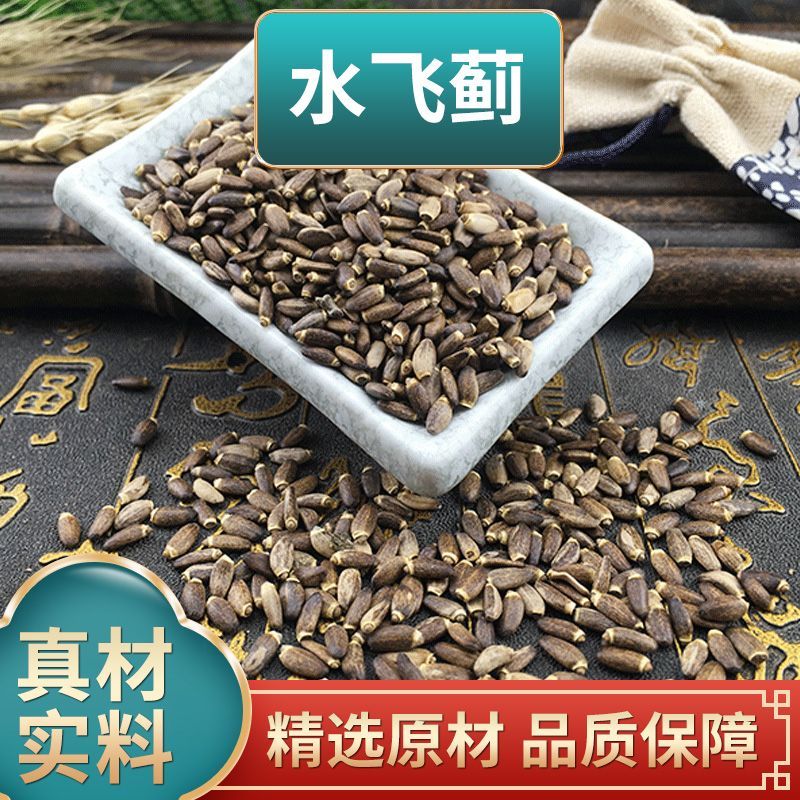 叶主任推荐 水飞蓟 可搭配赶黄草
