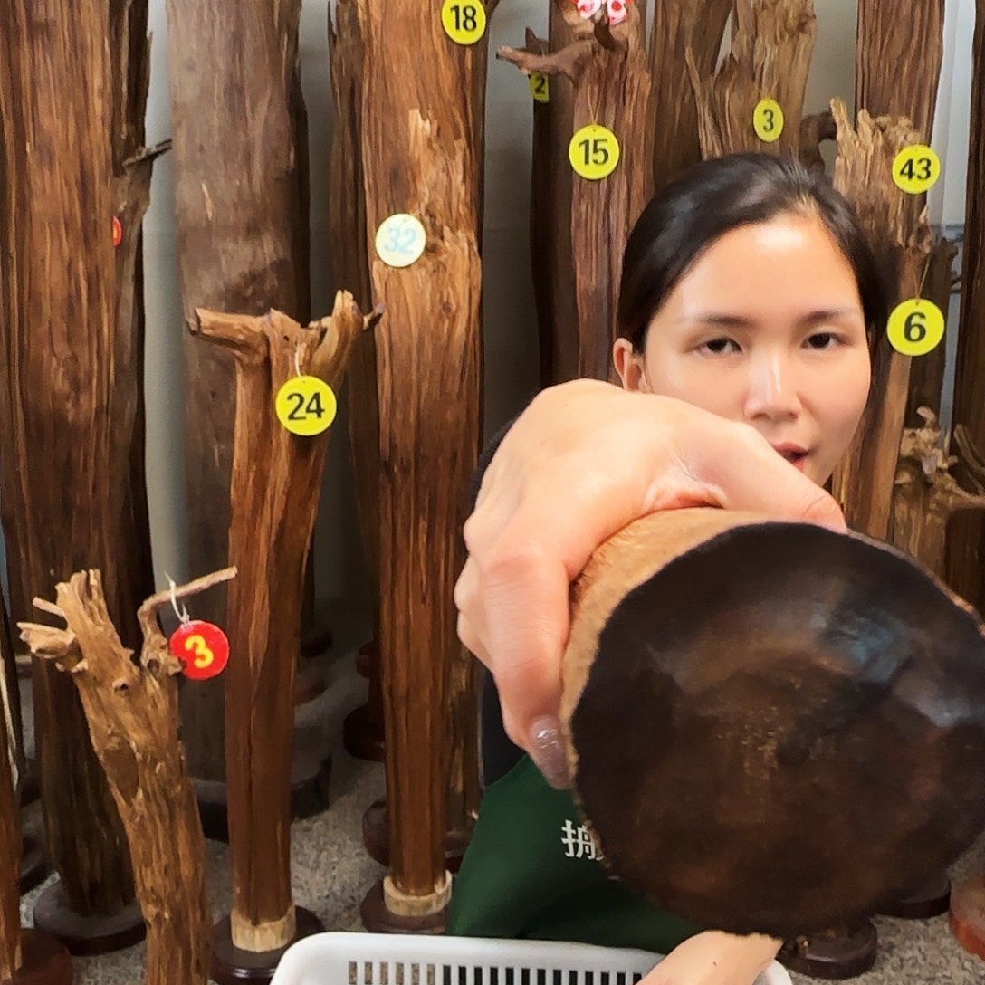 沉香碎屑沉香天然沉香原材料香料熏料