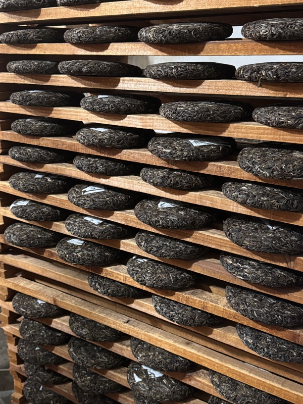 老班盆25号-洪兴社-代拍链接-春茶-古树-普洱茶