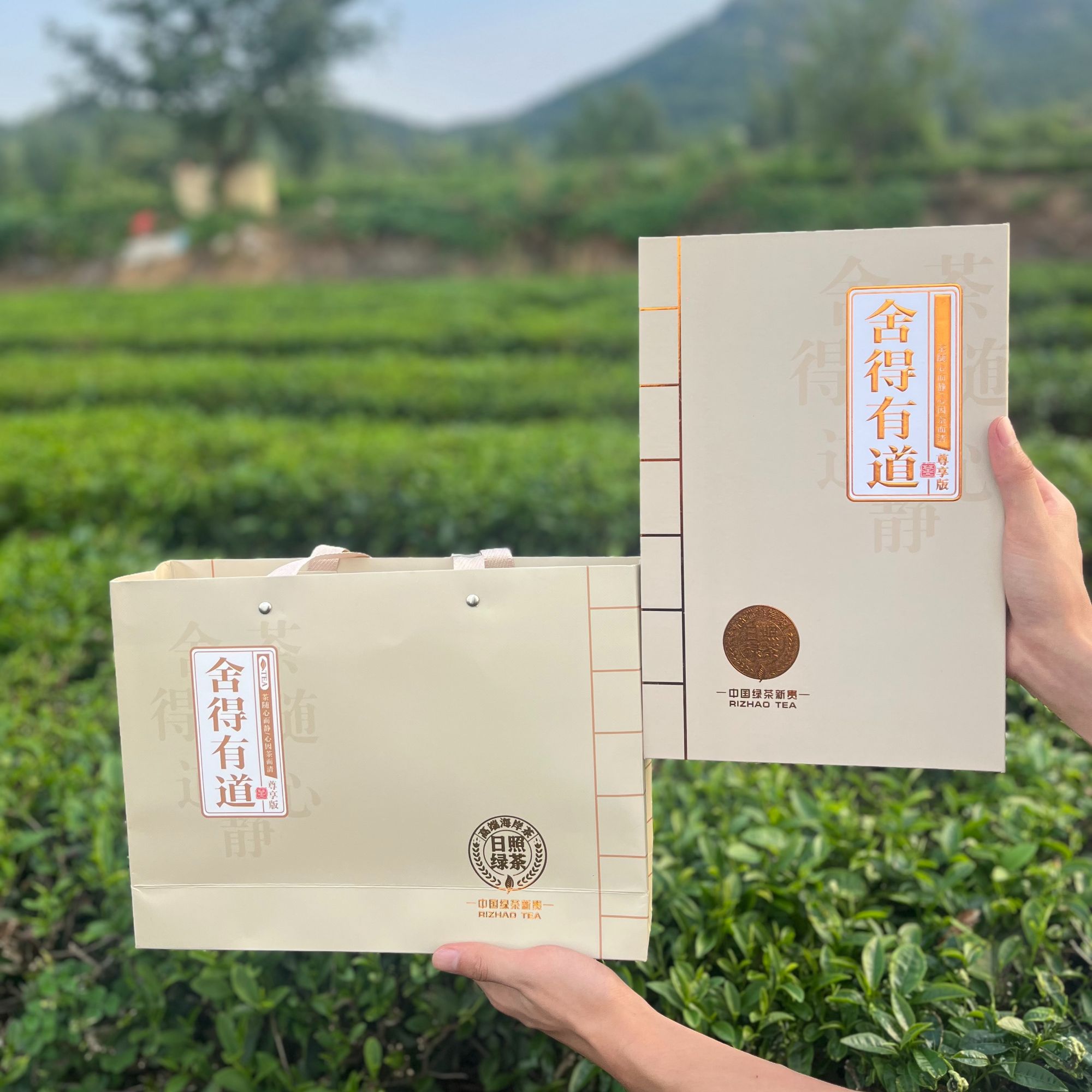 【日照绿茶礼盒】舍得有道精品礼盒浓香型板栗香沙口足新茶适合送礼