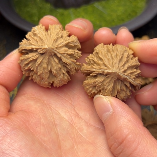 文玩核桃把件庸*秦岭核桃19