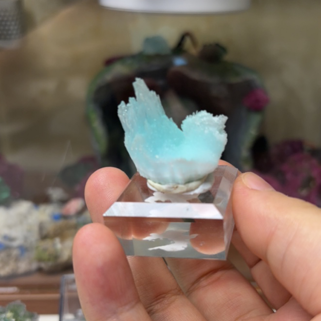 漏 小鸟蓝纹石四川
