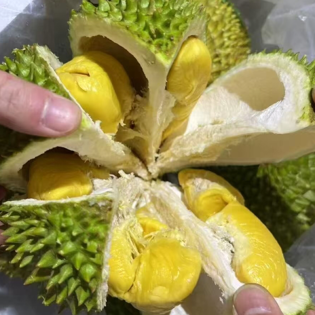 马来西亚鲜果猫山王AA果「包5房」微苦。酒精味。个人口感勿拍。 新鲜果/核大。一果一重。同城包邮 猫山王马来西亚