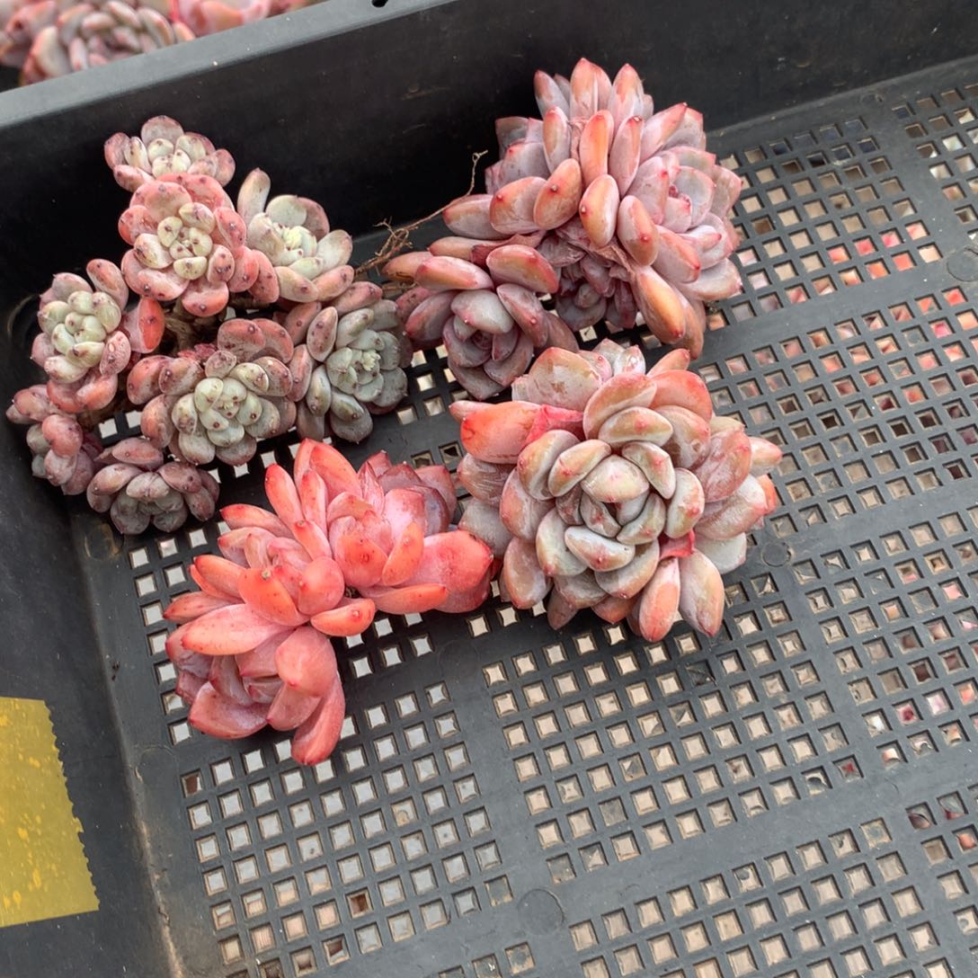 哈哈哈哈哈哈哈哈哈