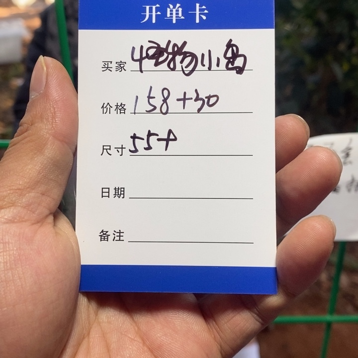 怪***岛非金属所见皆所得