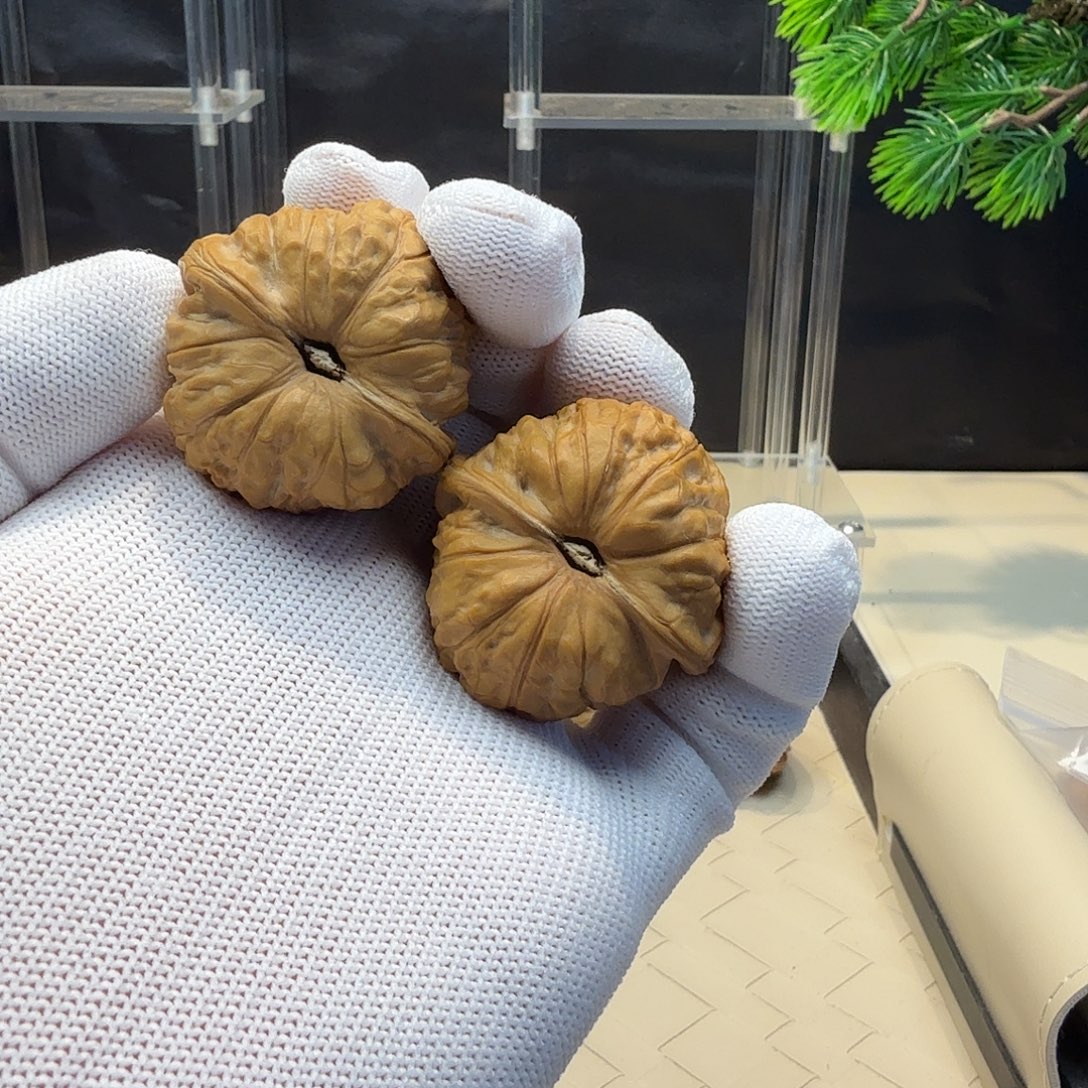 文玩核桃把件全品南瓜